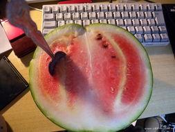 清哥吃瓜,揭秘娱乐圈那些不为人知的幕后故事