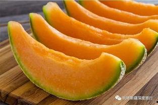 新疆吃白瓜,白瓜的独特风味之旅