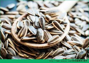 吃瓜只吃瓜子,揭秘“吃瓜只吃瓜子”的流行风尚