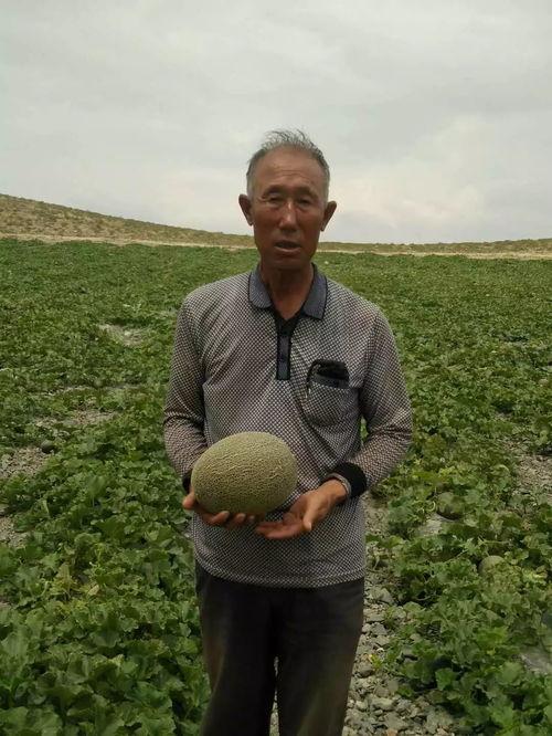 吃瓜群众ee摄影师,镜头下的光影世界