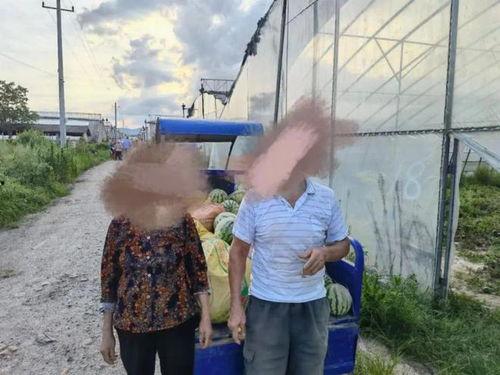 吃瓜拘留,拘留背后的法律警示