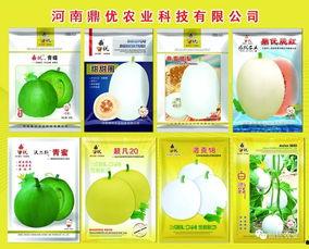 老王戈壁吃瓜,一场吃瓜引发的探险之旅