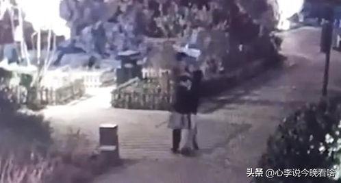 吃瓜原唱完整视频,完整视频带你领略“吃瓜”背后的故事与魅力