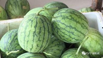 彩虹吃瓜视频在线观看,在线观看，笑料横生！