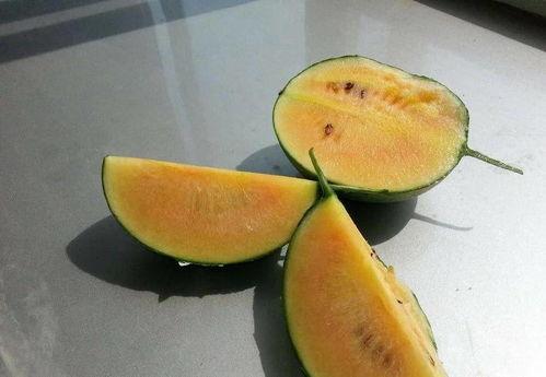 彩虹吃瓜视频在线观看,在线观看，笑料横生！