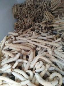 瓜丝晒干怎么吃,传统食材的创意美味探索