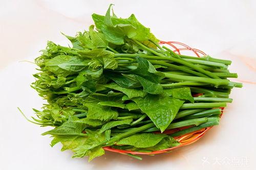 瓜花和瓜尖如何吃最好,解锁最佳食用之道