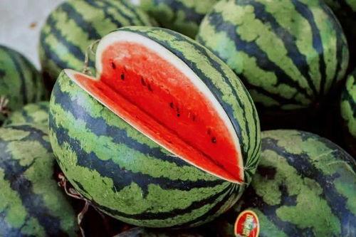 广州吃瓜指南,一网打尽地道吃瓜攻略