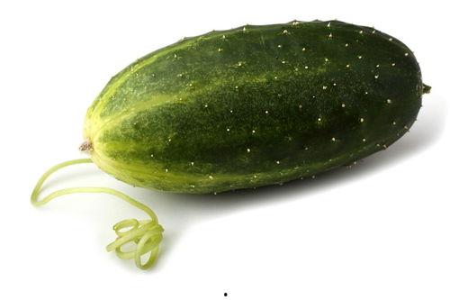 手瓜可以吃吗,手瓜的食用价值与食用方法揭秘