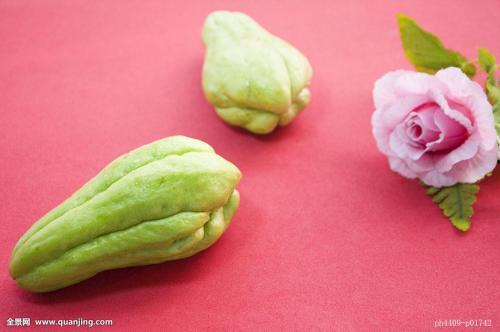 手瓜可以吃吗,手瓜的食用价值与食用方法揭秘