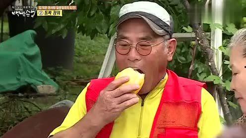 女婿吃瓜,揭秘家庭纷争背后的真相