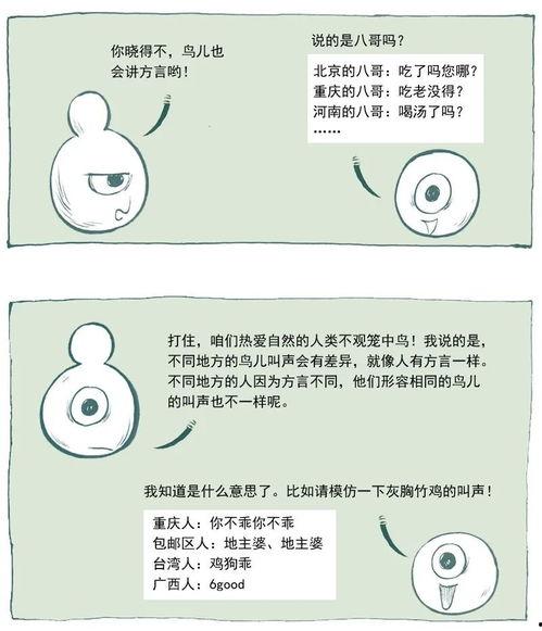 瓜先生 吃瓜笔记,揭秘娱乐圈那些事儿