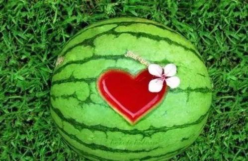 坐在西瓜里吃瓜,体验坐在瓜中畅享清凉的奇妙之旅