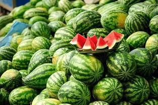 坐在西瓜里吃瓜,体验坐在瓜中畅享清凉的奇妙之旅