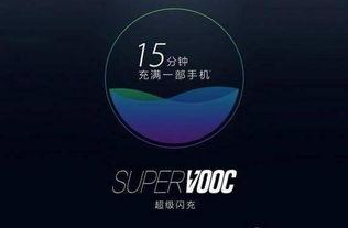 吃瓜短信密码,解锁神秘信息背后的秘密