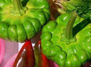 姜柄瓜 孕妇可以吃吗,孕妇食用指南与注意事项