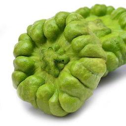 姜柄瓜 孕妇可以吃吗,孕妇食用指南与注意事项