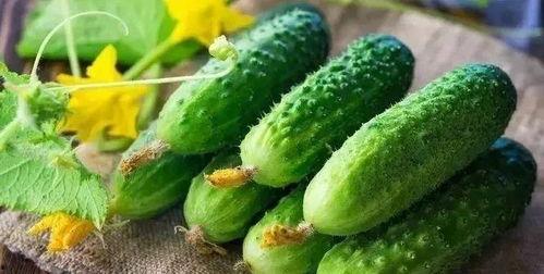 吃瓜骨科,网络热词背后的社会现象与心理解读