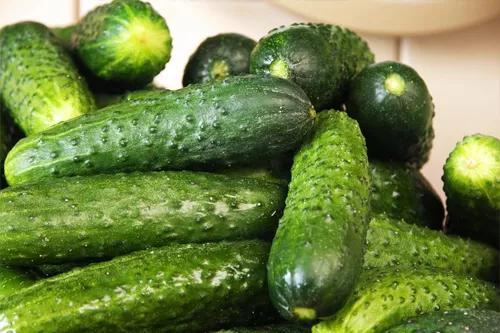 小暑工厂员工吃瓜,工厂员工共享清凉瓜果乐