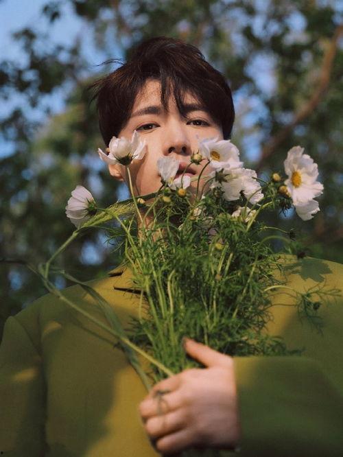 夏日吃瓜剧,盘点年度热门吃瓜剧