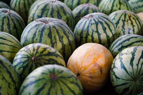 浙江吃瓜网络事件,揭秘背后真相与网络舆论风暴