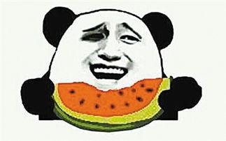 吃瓜群众吃的瓜是什么瓜