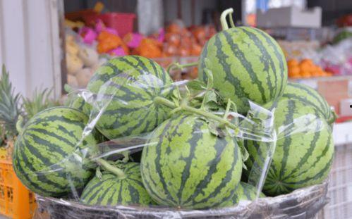 吐刀乐吃瓜,揭秘娱乐圈幕后故事