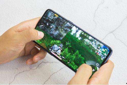 吃瓜猫手机壳oppo,吃瓜猫与OPPO的时尚碰撞