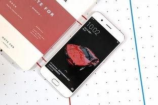 吃瓜猫手机壳oppo,吃瓜猫与OPPO的时尚碰撞