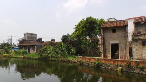 增城新塘吃瓜,探寻夏日吃瓜新风尚