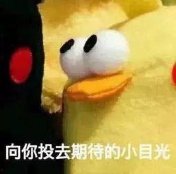 小奇吃瓜,揭秘娱乐圈那些不为人知的幕后故事