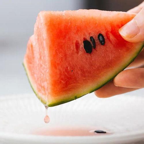 搞笑带货吃瓜,一场搞笑带货的欢乐盛宴