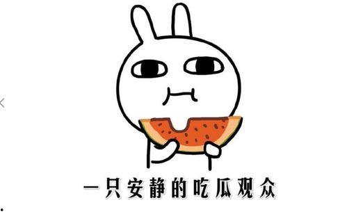 吃瓜的群众由来,揭秘网络时代的围观文化现象