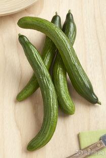 胃炎可以吃伏瓜么,胃炎患者适宜食用伏瓜的探讨