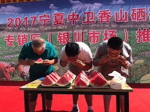 宁夏瓜地吃西瓜视频,一场西瓜的视觉盛宴
