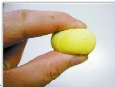 蛋蛋美睫吃瓜,揭秘网红美睫产品背后的吃瓜故事