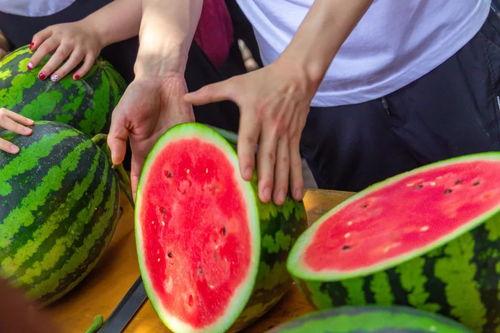 南通大学情侣吃瓜,校园甜蜜瞬间引发网友热议