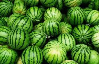 bomm吃瓜艺术群,揭秘网络社交新潮流