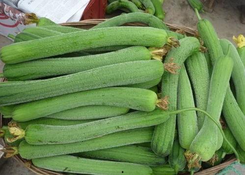 每天吃瓜吃到爽,畅享生活无限美好