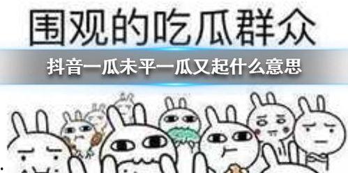 抖音西城吃瓜,揭秘网红圈幕后故事