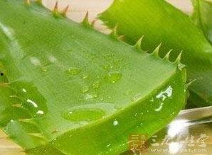 孕初期可以吃籽瓜嘛,籽瓜的适宜与禁忌