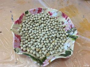 五一朝阳吃瓜网,吃瓜网带你领略美食盛宴