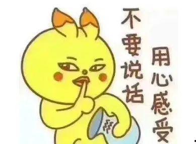 用心吃瓜 别说话,一场无声的瓜界盛宴