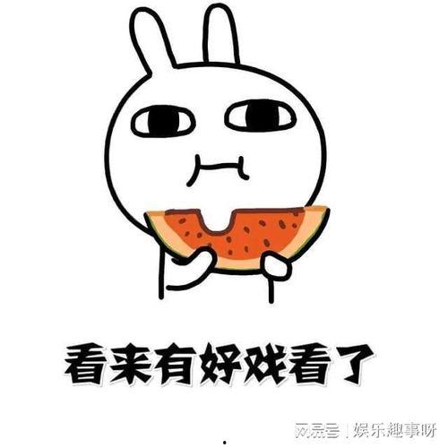 用心吃瓜 别说话,一场无声的瓜界盛宴