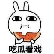 埋头吃瓜表情,揭秘网络表情背后的趣味人生