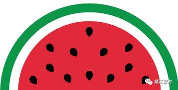 给钱说吃瓜,揭秘财富与娱乐的奇妙交融