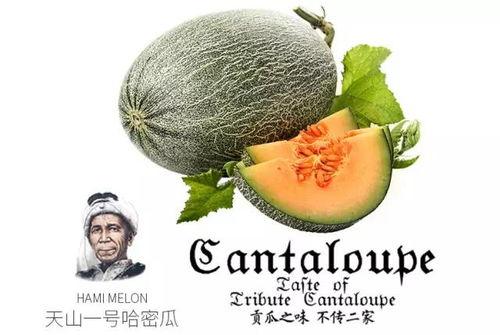 吃瓜互推图,娱乐圈幕后互动大揭秘