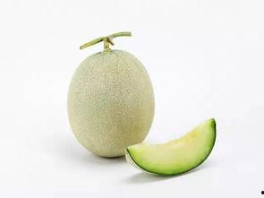 山东甜蜜瓜怎么吃才好吃,解锁美味新体验