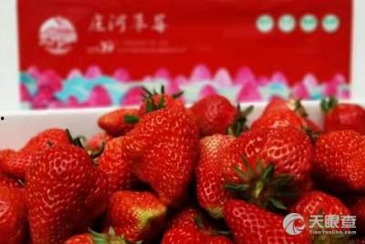 庄河卖草莓女孩吃瓜,庄河女孩的甜蜜生活瞬间