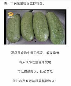 喝着吃的瓜,尽享夏日“喝着吃”的悠闲时光